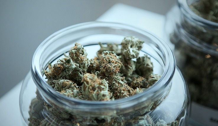 Tips for Choosing the Right Cannabis Dispensaries
